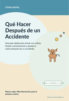 Portada Qué Hacer Después de un Accidente